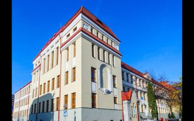 La povești cu Sebi VII: Intrarea specială pentru profi